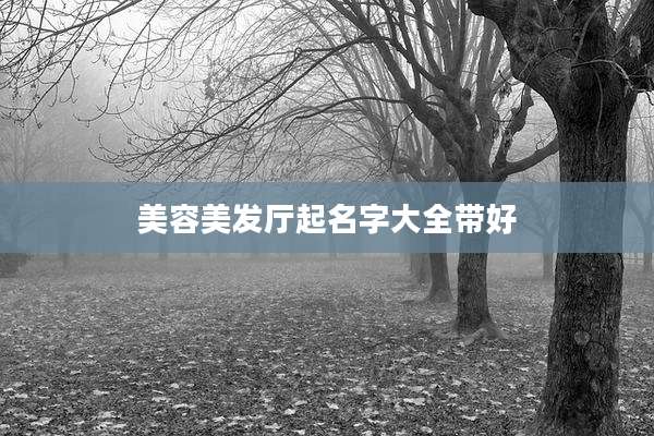 美容美发厅起名字大全带好