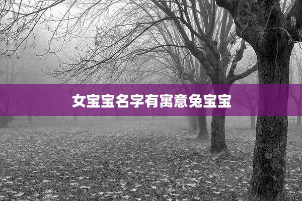 女宝宝名字有寓意兔宝宝