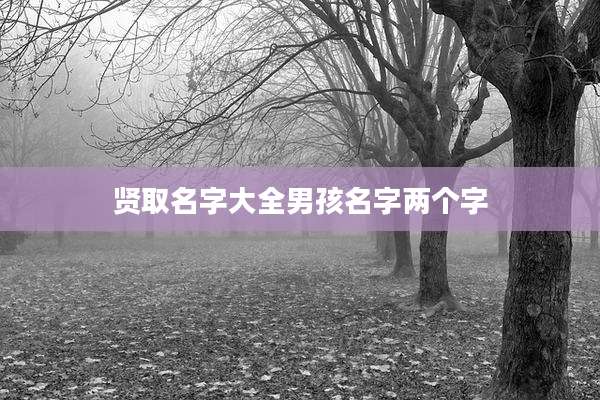 贤取名字大全男孩名字两个字