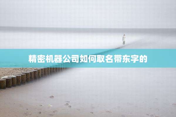 精密机器公司如何取名带东字的