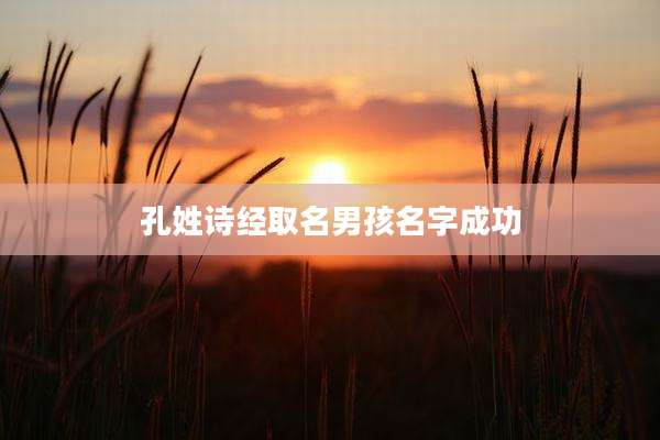 孔姓诗经取名男孩名字成功