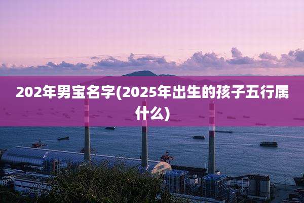 202年男宝名字(2025年出生的孩子五行属什么)