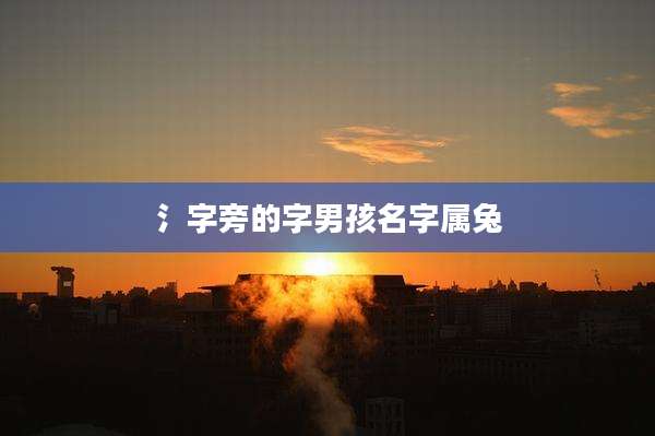 氵字旁的字男孩名字属兔