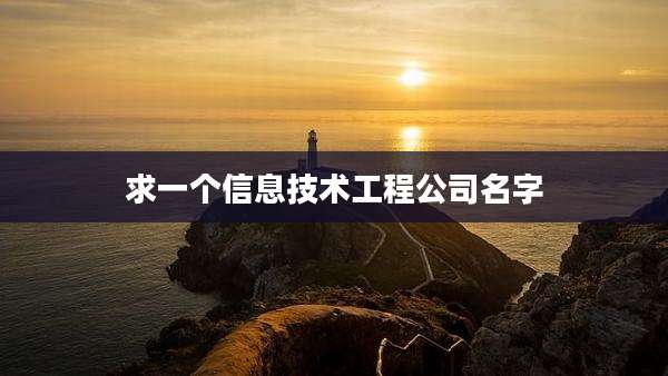 求一个信息技术工程公司名字