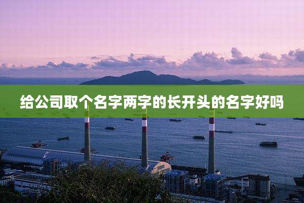 给公司取个名字两字的长开头的名字好吗