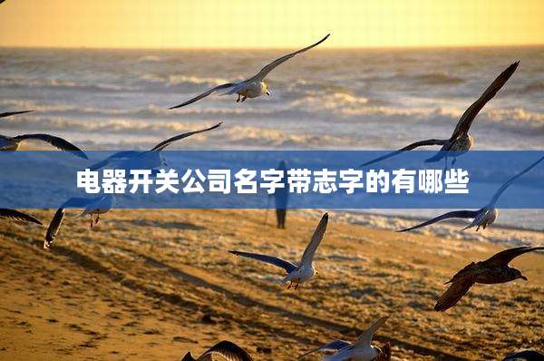 电器开关公司名字带志字的有哪些