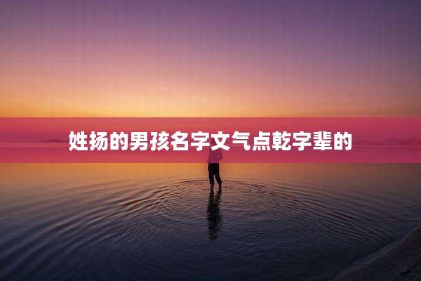 姓扬的男孩名字文气点乾字辈的