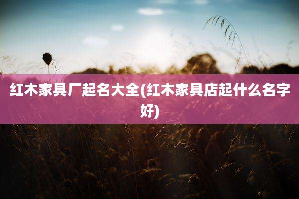 红木家具厂起名大全(红木家具店起什么名字好)