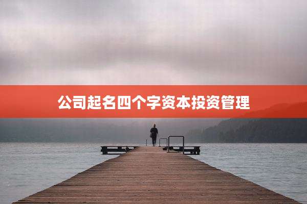 公司起名四个字资本投资管理