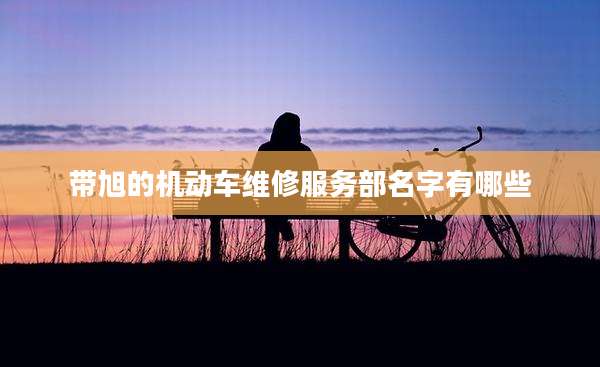带旭的机动车维修服务部名字有哪些