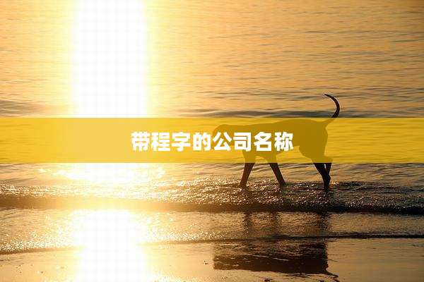 带程字的公司名称