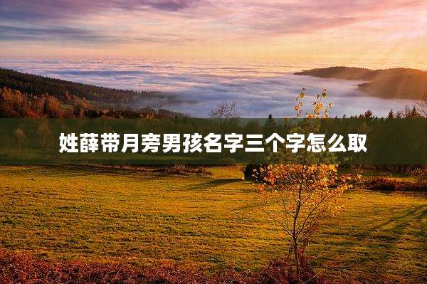 姓薛带月旁男孩名字三个字怎么取