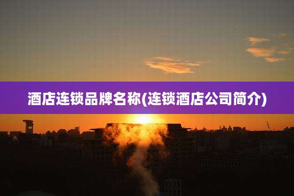 酒店连锁品牌名称(连锁酒店公司简介)