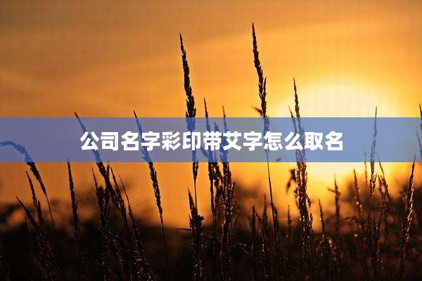 公司名字彩印带艾字怎么取名