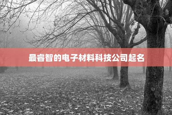 最睿智的电子材料科技公司起名