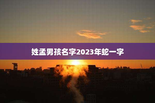 姓孟男孩名字2023年蛇一字