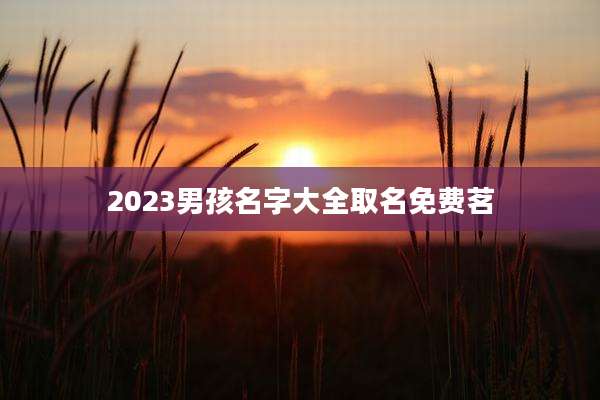 2023男孩名字大全取名免费茗