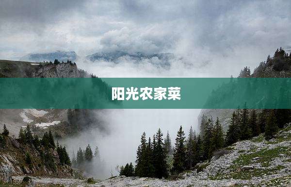 阳光农家菜