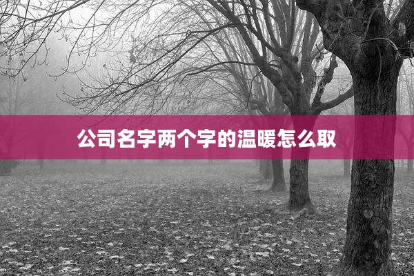 公司名字两个字的温暖怎么取