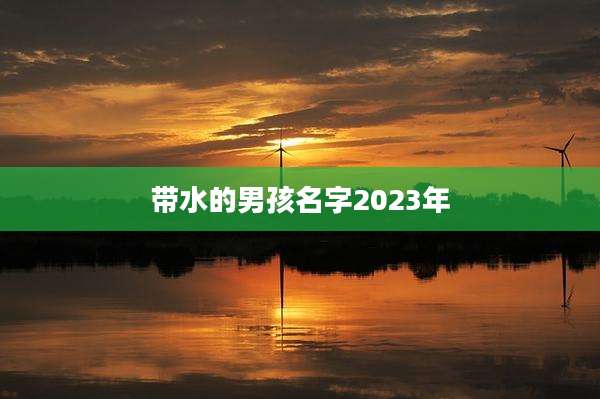 带水的男孩名字2023年