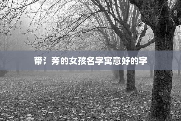 带氵旁的女孩名字寓意好的字