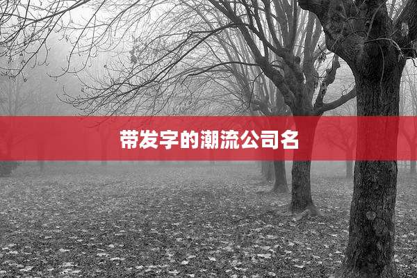 带发字的潮流公司名