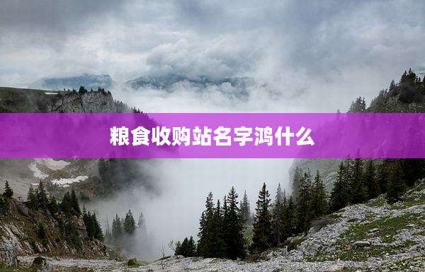 粮食收购站名字鸿什么