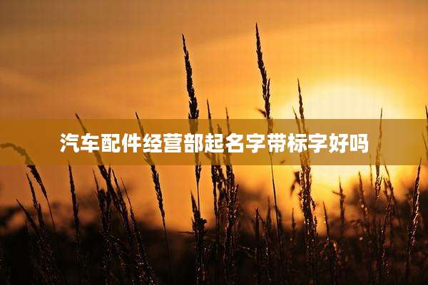 汽车配件经营部起名字带标字好吗