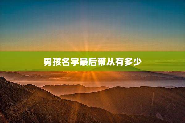 男孩名字最后带从有多少
