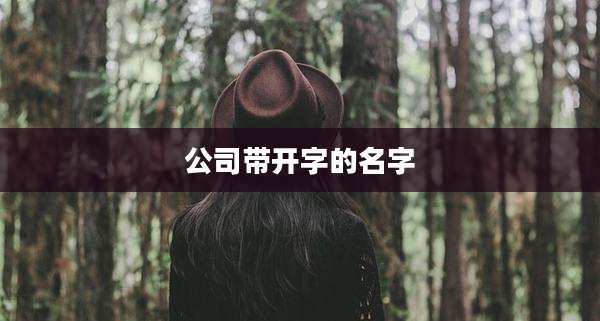 公司带开字的名字