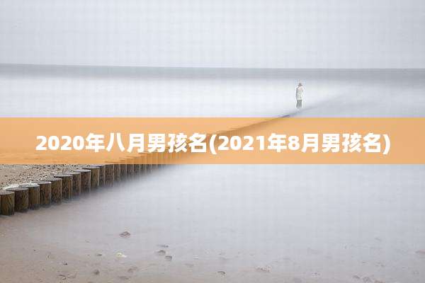 2020年八月男孩名(2021年8月男孩名)