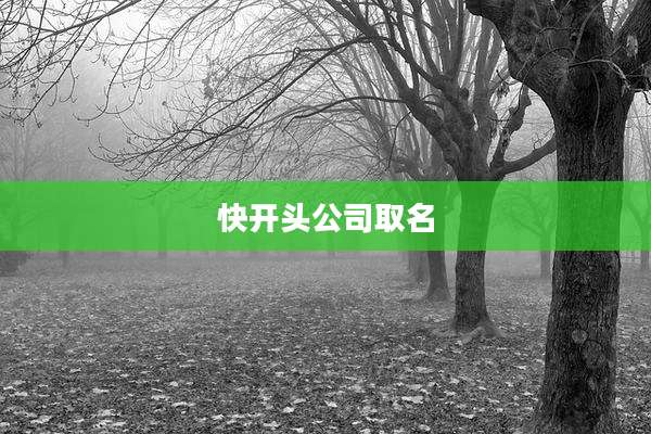 快开头公司取名