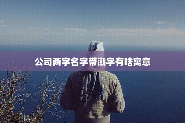 公司两字名字带潮字有啥寓意