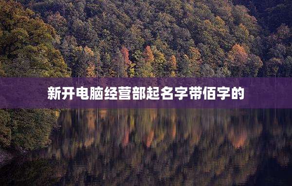 新开电脑经营部起名字带佰字的