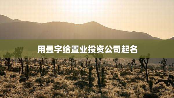 用曼字给置业投资公司起名