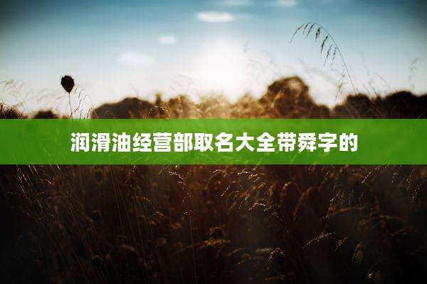 润滑油经营部取名大全带舜字的