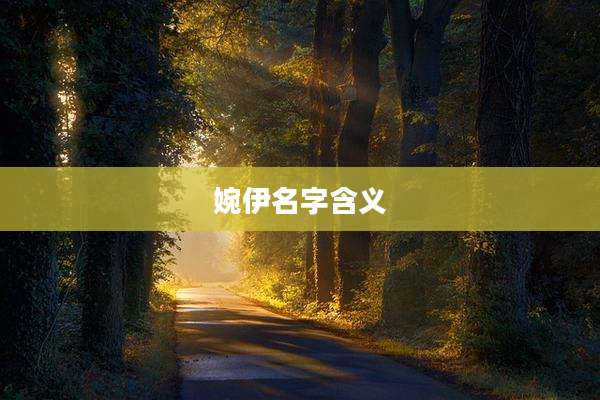 婉伊名字含义