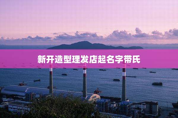 新开造型理发店起名字带氏