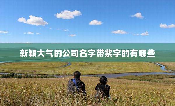 新颖大气的公司名字带紫字的有哪些
