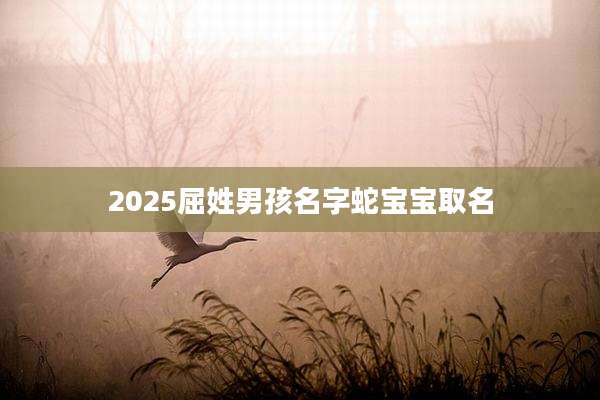 2025屈姓男孩名字蛇宝宝取名