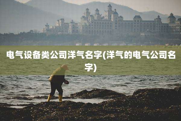 电气设备类公司洋气名字(洋气的电气公司名字)