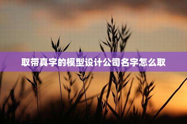 取带真字的模型设计公司名字怎么取