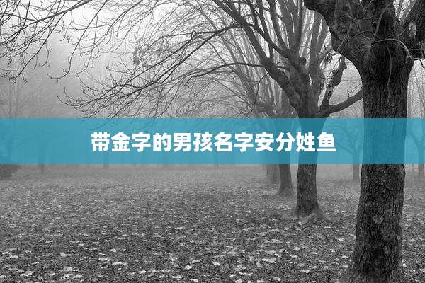 带金字的男孩名字安分姓鱼