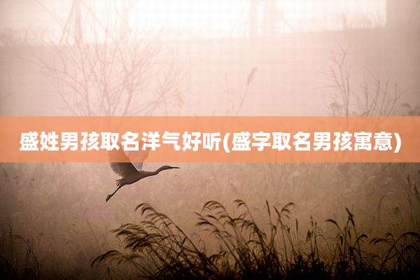 盛姓男孩取名洋气好听(盛字取名男孩寓意)