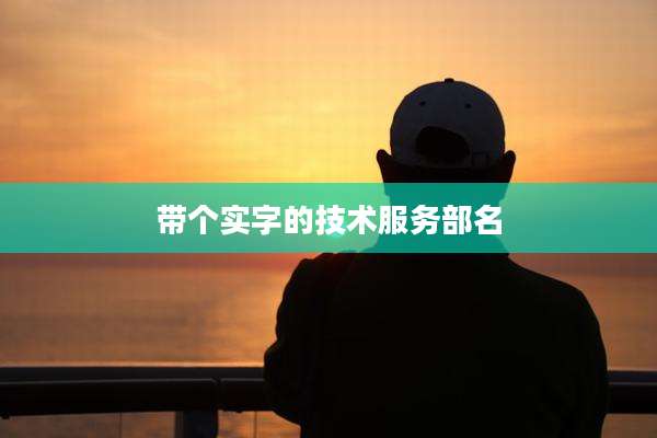 带个实字的技术服务部名