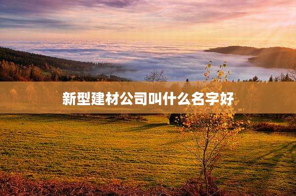 新型建材公司叫什么名字好