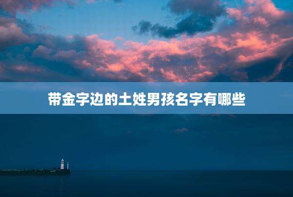 带金字边的土姓男孩名字有哪些