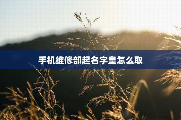 手机维修部起名字皇怎么取
