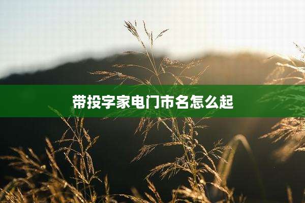 带投字家电门市名怎么起