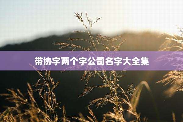 带协字两个字公司名字大全集